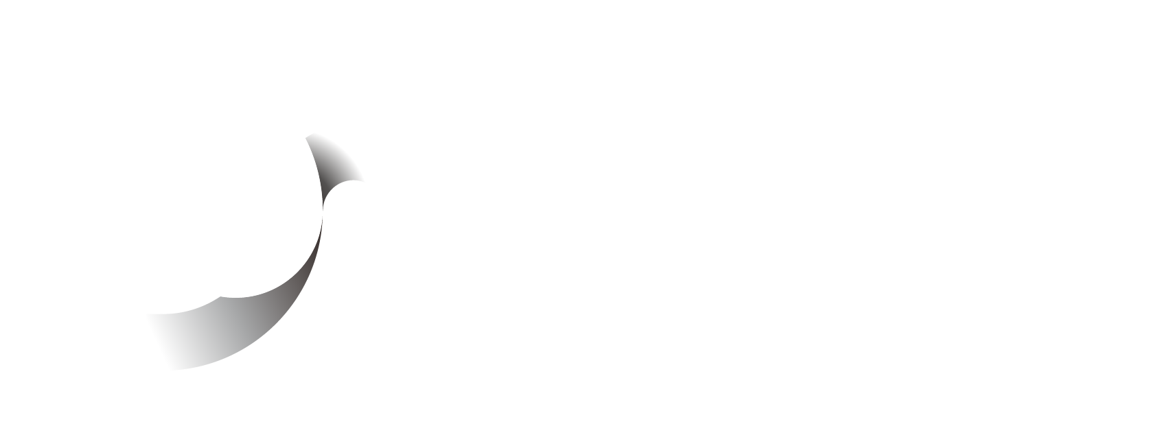 DVSense logo